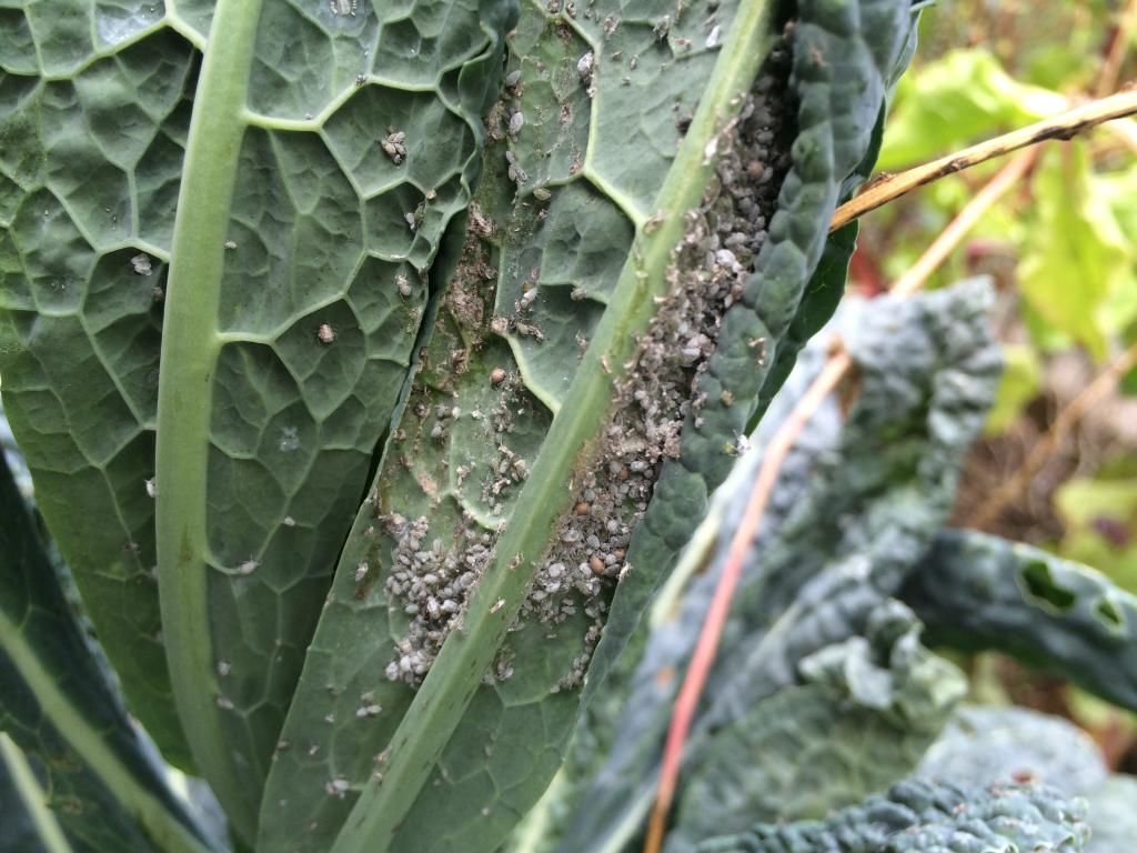  photo 5EE5BAE7-11CA-4C9D-8DFA-43C5526DA213.jpg